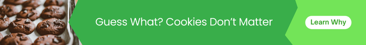 Link to a blog post on the Sentinel Insights website that explains why cookies don't matter, it is instead the technologies accessing the data contained in them that should be closely monitored